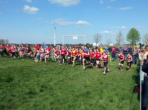 九游(jiuyou)官方网站-青少年体育活动参与动力分析，青少年的体育活动